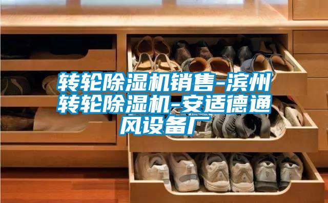 轉(zhuǎn)輪除濕機銷售-濱州轉(zhuǎn)輪除濕機-安適德通風設(shè)備廠