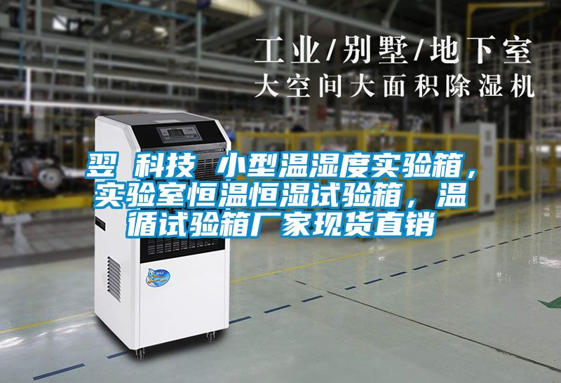 翌昇科技 小型溫濕度實(shí)驗(yàn)箱，實(shí)驗(yàn)室恒溫恒濕試驗(yàn)箱，溫循試驗(yàn)箱廠家現(xiàn)貨直銷