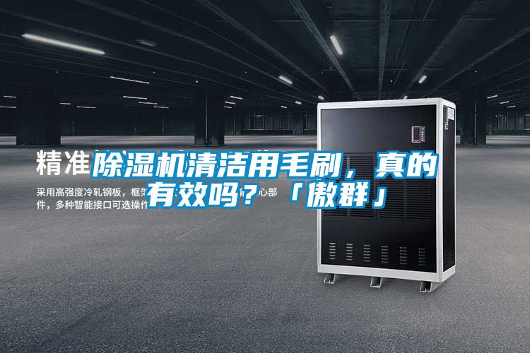 除濕機清潔用毛刷，真的有效嗎？「傲群」