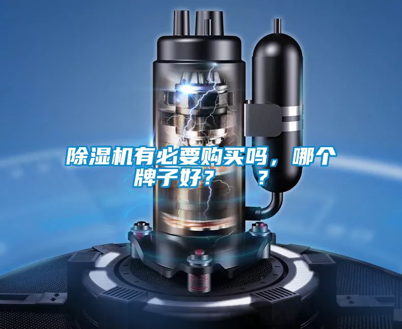除濕機(jī)有必要購買嗎，哪個(gè)牌子好？  ？
