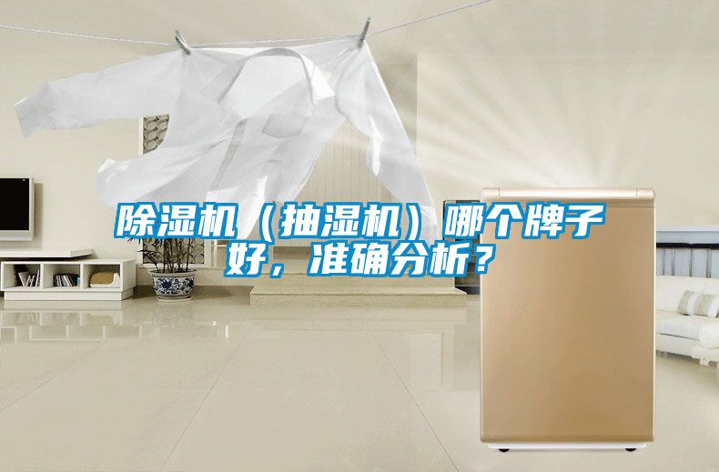 除濕機(jī)（抽濕機(jī)）哪個(gè)牌子好，準(zhǔn)確分析？