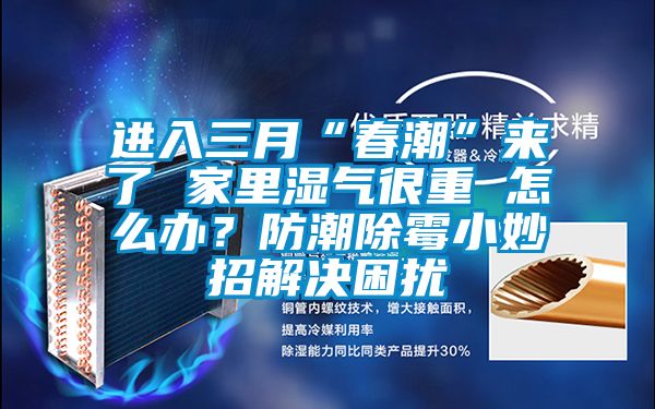 進(jìn)入三月“春潮”來了 家里濕氣很重 怎么辦？防潮除霉小妙招解決困擾