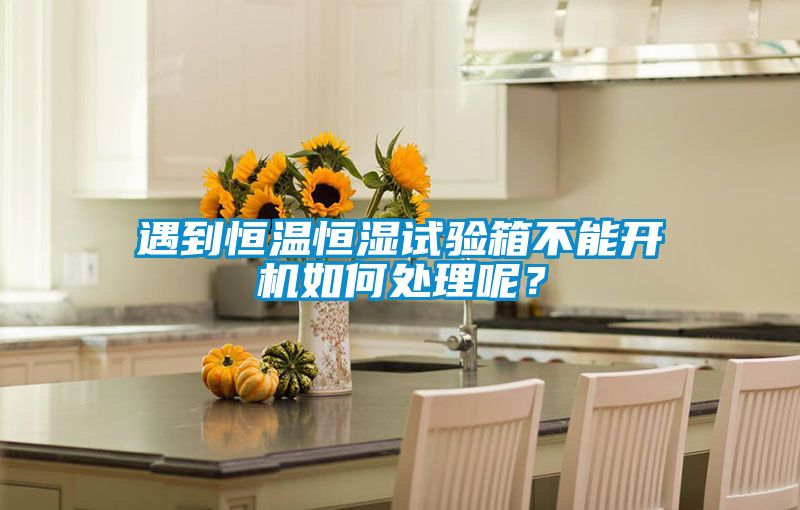遇到恒溫恒濕試驗(yàn)箱不能開機(jī)如何處理呢？