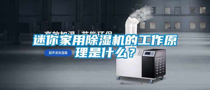 迷你家用除濕機的工作原理是什么？