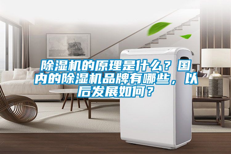 除濕機的原理是什么？國內(nèi)的除濕機品牌有哪些，以后發(fā)展如何？