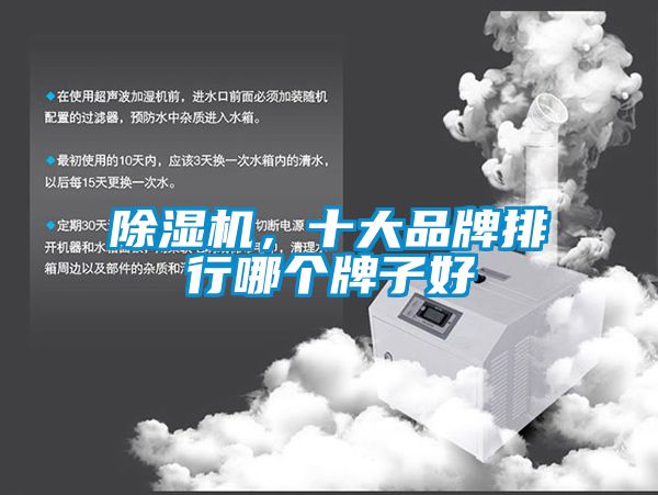 除濕機(jī)，十大品牌排行哪個牌子好
