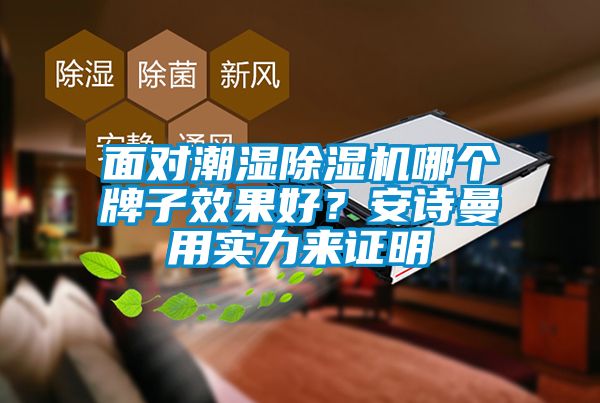 面對潮濕除濕機(jī)哪個牌子效果好？安詩曼用實(shí)力來證明