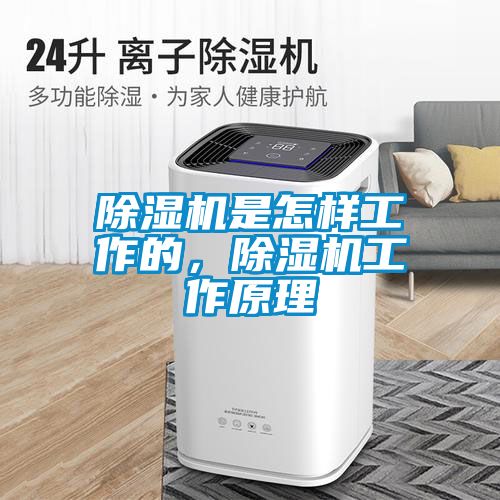 除濕機(jī)是怎樣工作的，除濕機(jī)工作原理