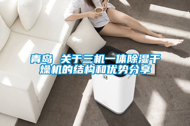 青島 關于三機一體除濕干燥機的結(jié)構和優(yōu)勢分享