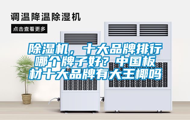 除濕機(jī)，十大品牌排行哪個牌子好？中國板材十大品牌有大王椰嗎