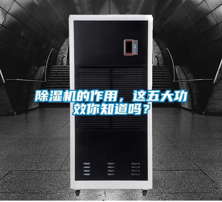 除濕機的作用，這五大功效你知道嗎？