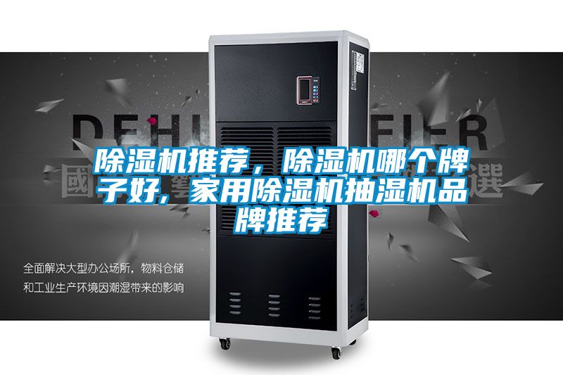 除濕機推薦，除濕機哪個牌子好, 家用除濕機抽濕機品牌推薦
