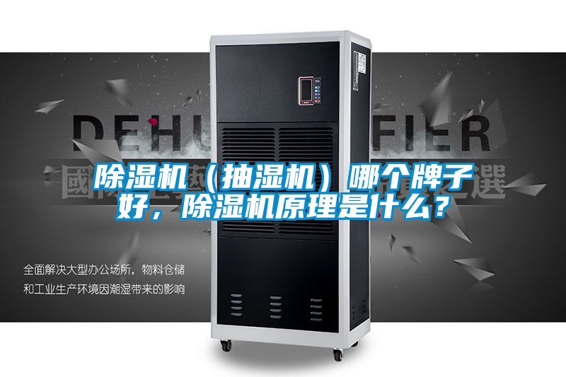 除濕機(jī)（抽濕機(jī)）哪個(gè)牌子好，除濕機(jī)原理是什么？
