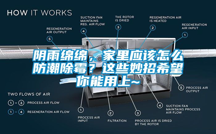 陰雨綿綿，家里應(yīng)該怎么防潮除霉？這些妙招希望你能用上~