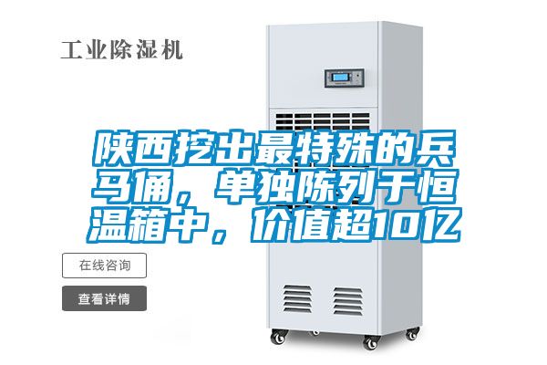 陜西挖出最特殊的兵馬俑，單獨陳列于恒溫箱中，價值超10億