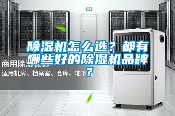 除濕機怎么選？都有哪些好的除濕機品牌？