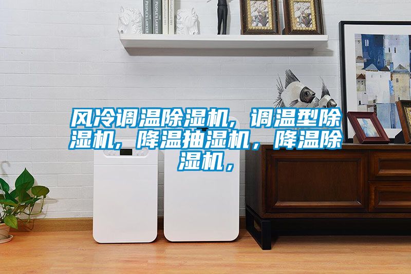 風冷調(diào)溫除濕機, 調(diào)溫型除濕機, 降溫抽濕機，降溫除濕機，