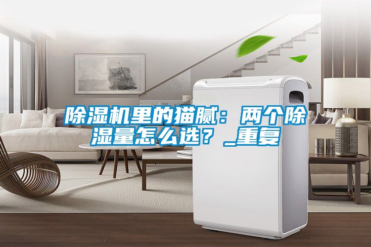 除濕機(jī)里的貓膩：兩個(gè)除濕量怎么選？_重復(fù)
