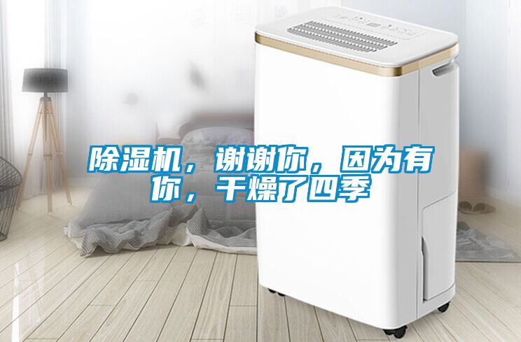 除濕機(jī)，謝謝你，因?yàn)橛心悖稍锪怂募?></div>
								<div   id=