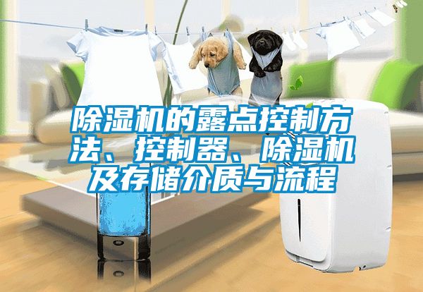 除濕機(jī)的露點(diǎn)控制方法、控制器、除濕機(jī)及存儲(chǔ)介質(zhì)與流程