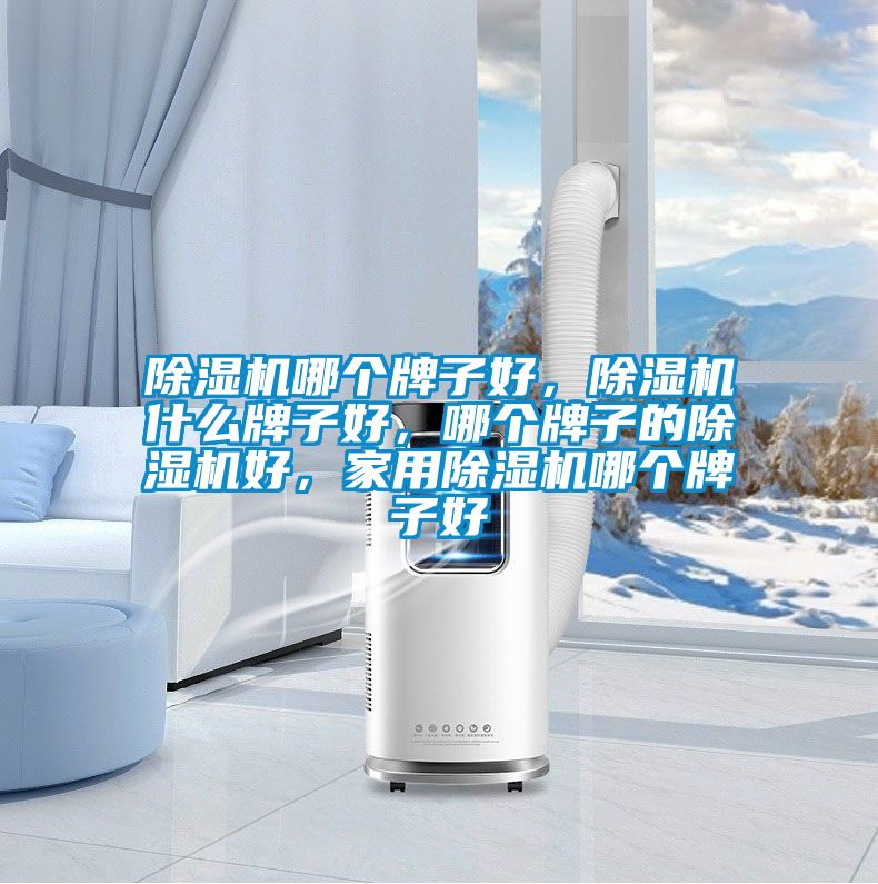 除濕機(jī)哪個(gè)牌子好，除濕機(jī)什么牌子好，哪個(gè)牌子的除濕機(jī)好，家用除濕機(jī)哪個(gè)牌子好