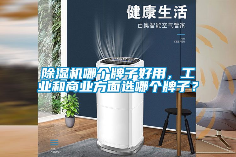 除濕機(jī)哪個(gè)牌子好用，工業(yè)和商業(yè)方面選哪個(gè)牌子？