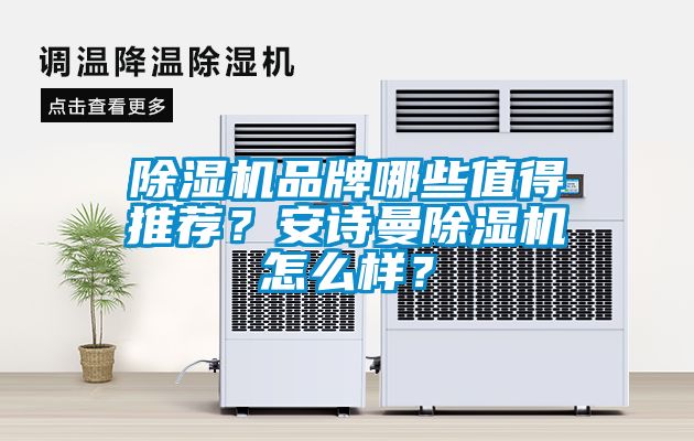 除濕機品牌哪些值得推薦？安詩曼除濕機怎么樣？