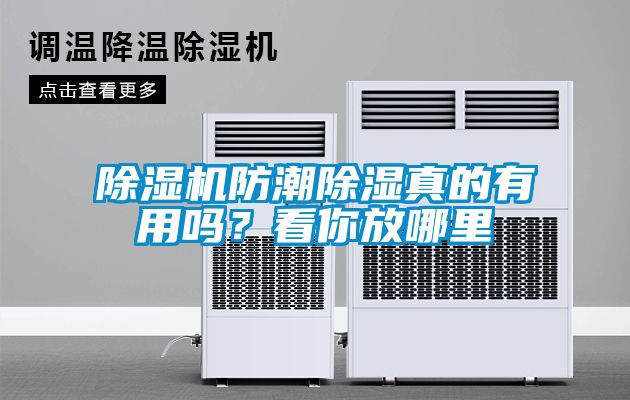 除濕機(jī)防潮除濕真的有用嗎？看你放哪里