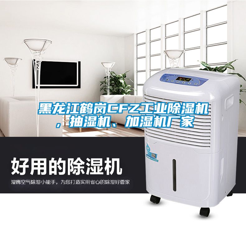 黑龍江鶴崗CFZ工業(yè)除濕機，抽濕機、加濕機廠家