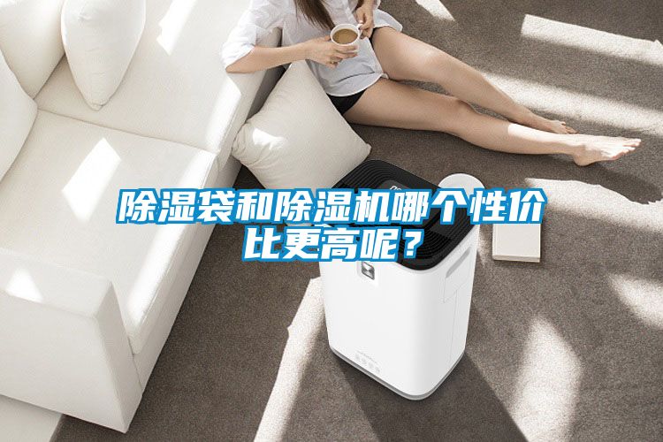 除濕袋和除濕機哪個性價比更高呢？