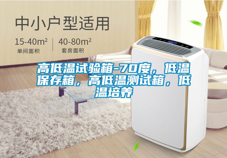 高低溫試驗箱-70度，低溫保存箱，高低溫測試箱，低溫培養(yǎng)