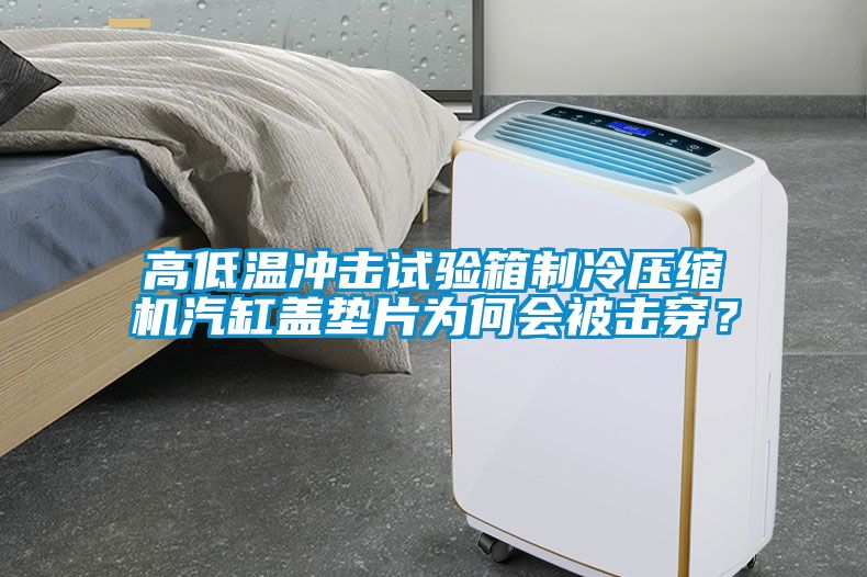 高低溫沖擊試驗(yàn)箱制冷壓縮機(jī)汽缸蓋墊片為何會(huì)被擊穿？