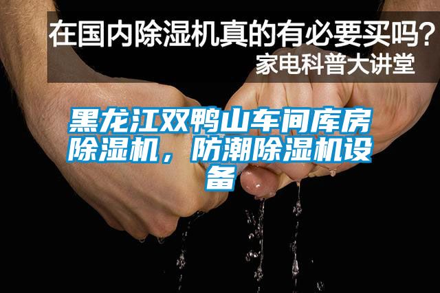 黑龍江雙鴨山車間庫房除濕機，防潮除濕機設(shè)備