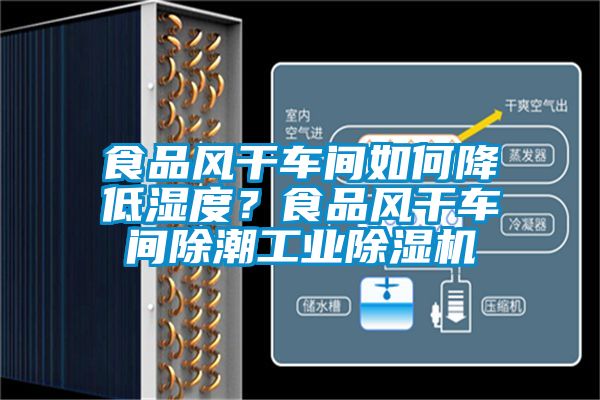 食品風(fēng)干車間如何降低濕度？食品風(fēng)干車間除潮工業(yè)除濕機(jī)