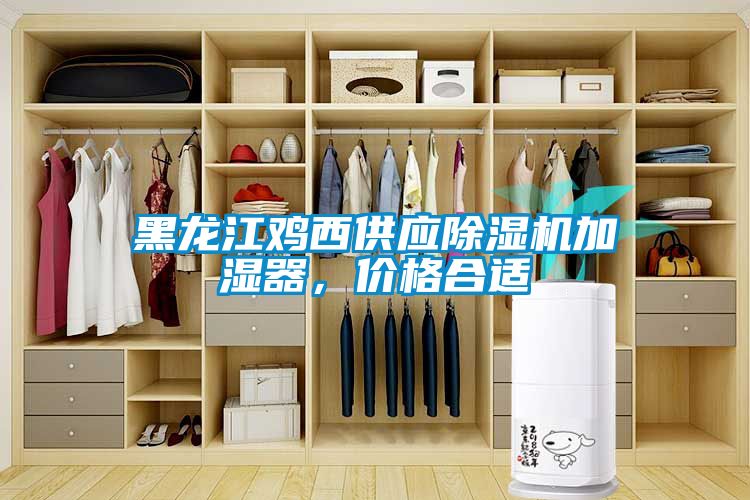 黑龍江雞西供應(yīng)除濕機加濕器，價格合適