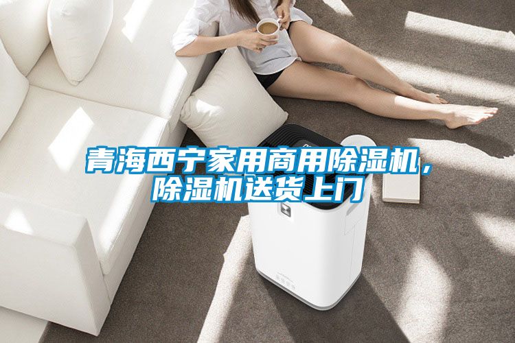 青海西寧家用商用除濕機，除濕機送貨上門