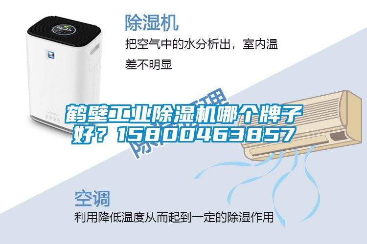 鶴壁工業(yè)除濕機(jī)哪個牌子好？15800463857
