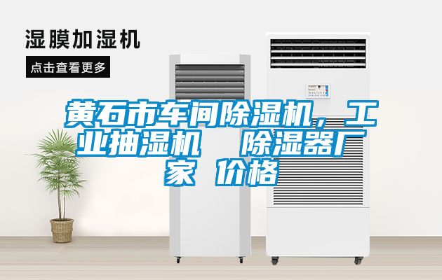 黃石市車間除濕機，工業(yè)抽濕機  除濕器廠家 價格