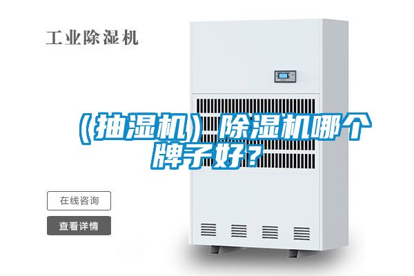 （抽濕機）除濕機哪個牌子好？