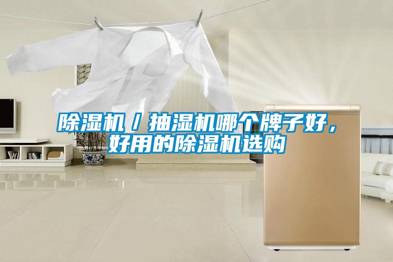 除濕機(jī)／抽濕機(jī)哪個牌子好，好用的除濕機(jī)選購