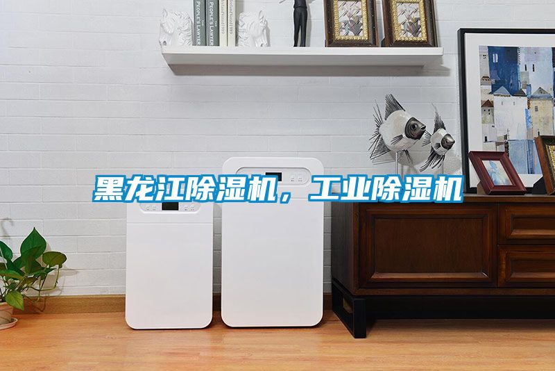 黑龍江除濕機(jī)，工業(yè)除濕機(jī)
