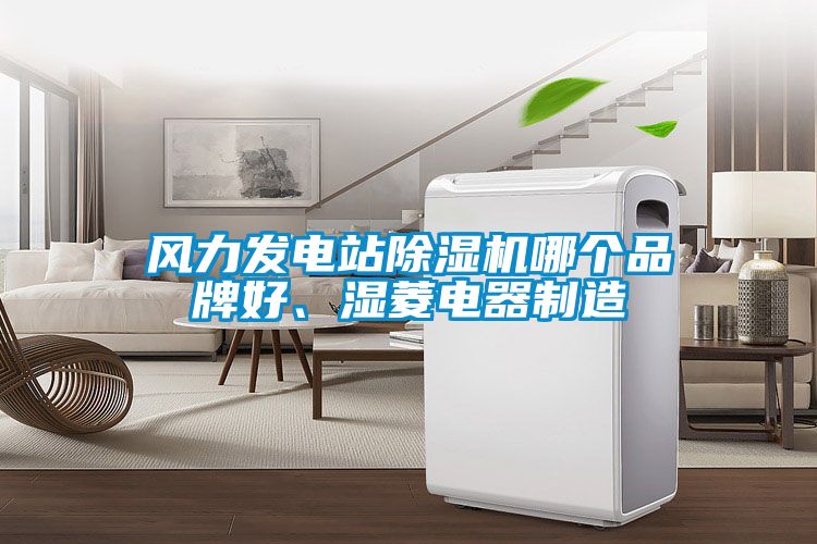 風(fēng)力發(fā)電站除濕機(jī)哪個品牌好、濕菱電器制造