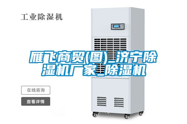 雁飛商貿(mào)(圖)_濟(jì)寧除濕機廠家_除濕機