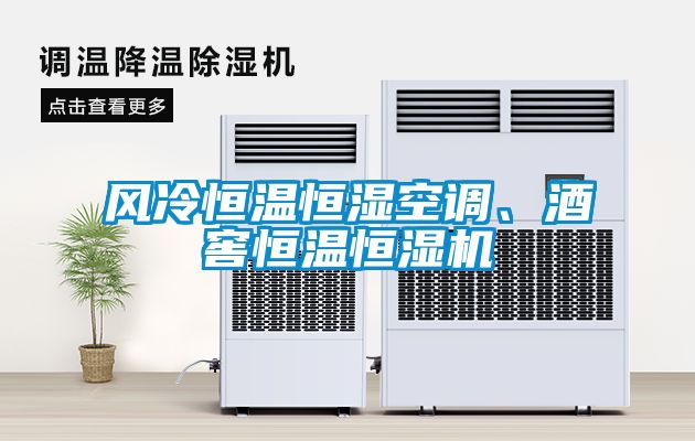 風(fēng)冷恒溫恒濕空調(diào)、酒窖恒溫恒濕機(jī)