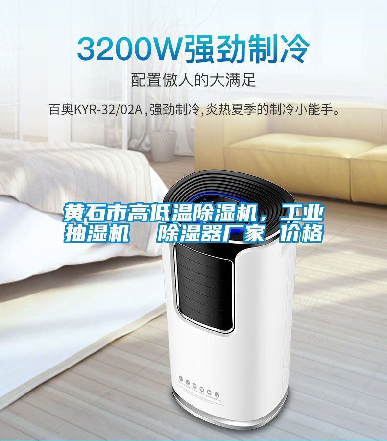 黃石市高低溫除濕機，工業(yè)抽濕機  除濕器廠家 價格