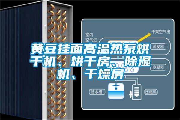 黃豆掛面高溫熱泵烘干機、烘干房、除濕機、干燥房