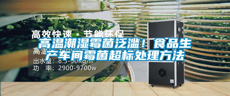 高溫潮濕霉菌泛濫！食品生產(chǎn)車間霉菌超標(biāo)處理方法