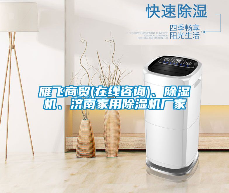 雁飛商貿(mào)(在線咨詢)、除濕機、濟(jì)南家用除濕機廠家