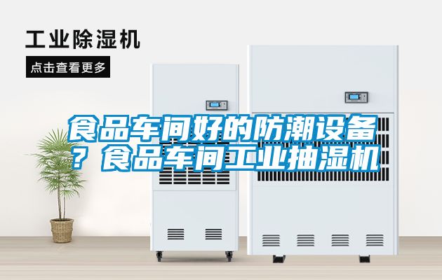 食品車間好的防潮設(shè)備？食品車間工業(yè)抽濕機(jī)