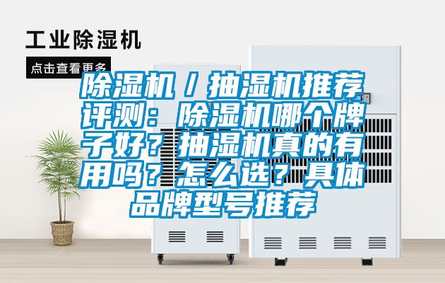 除濕機(jī)／抽濕機(jī)推薦評測：除濕機(jī)哪個牌子好？抽濕機(jī)真的有用嗎？怎么選？具體品牌型號推薦